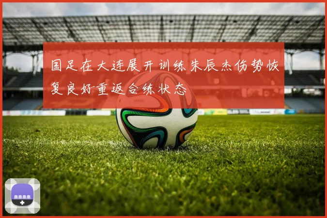 国足在大连展开训练朱辰杰伤势恢复良好重返合练状态