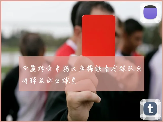 今夏转会市场大鱼稀缺南方球队或将释放部分球员